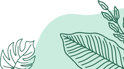 Leaves Vector