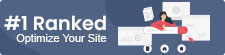 SEO Offer